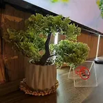 아파트 Monfort A 반스코